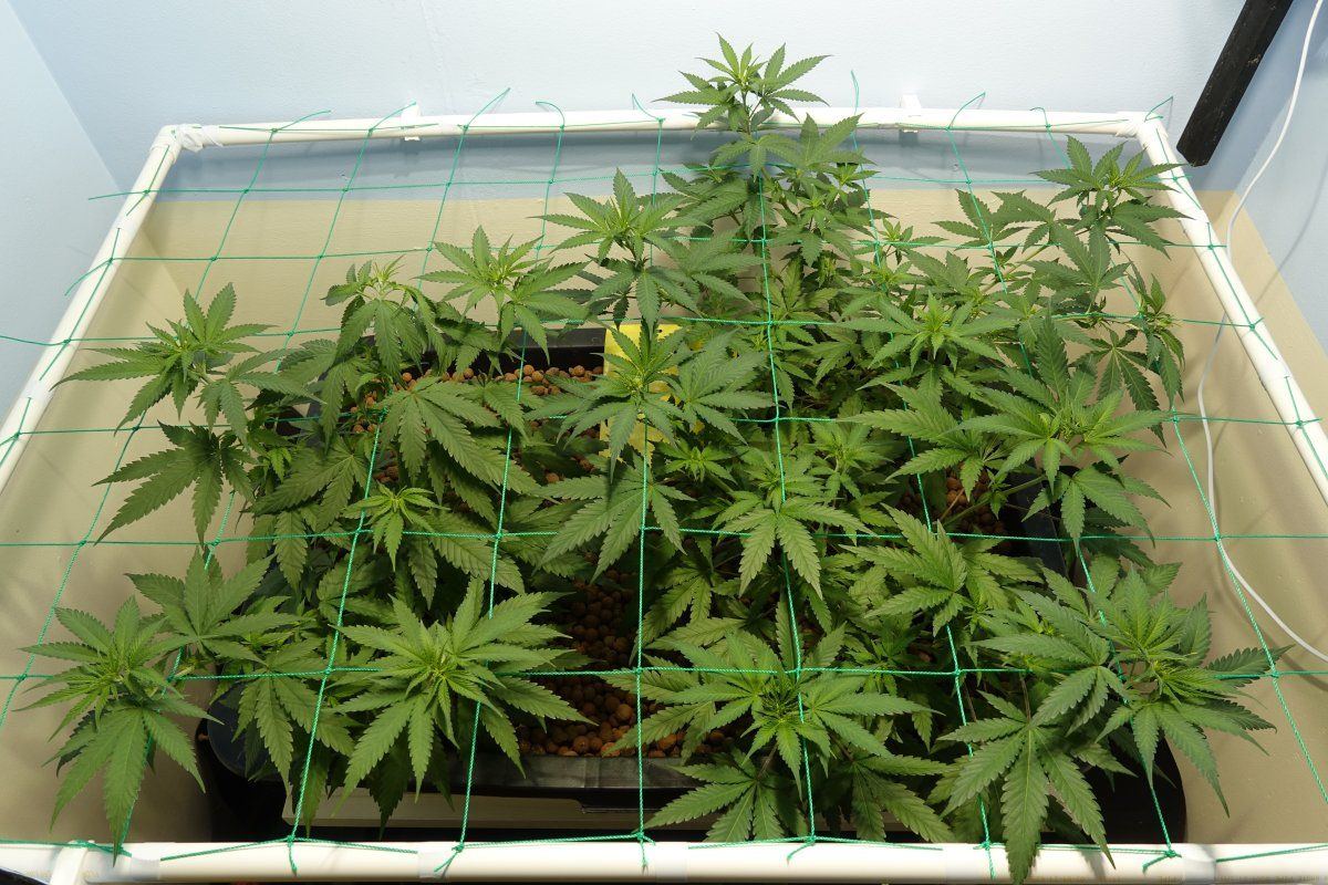 Group Shot V6 1