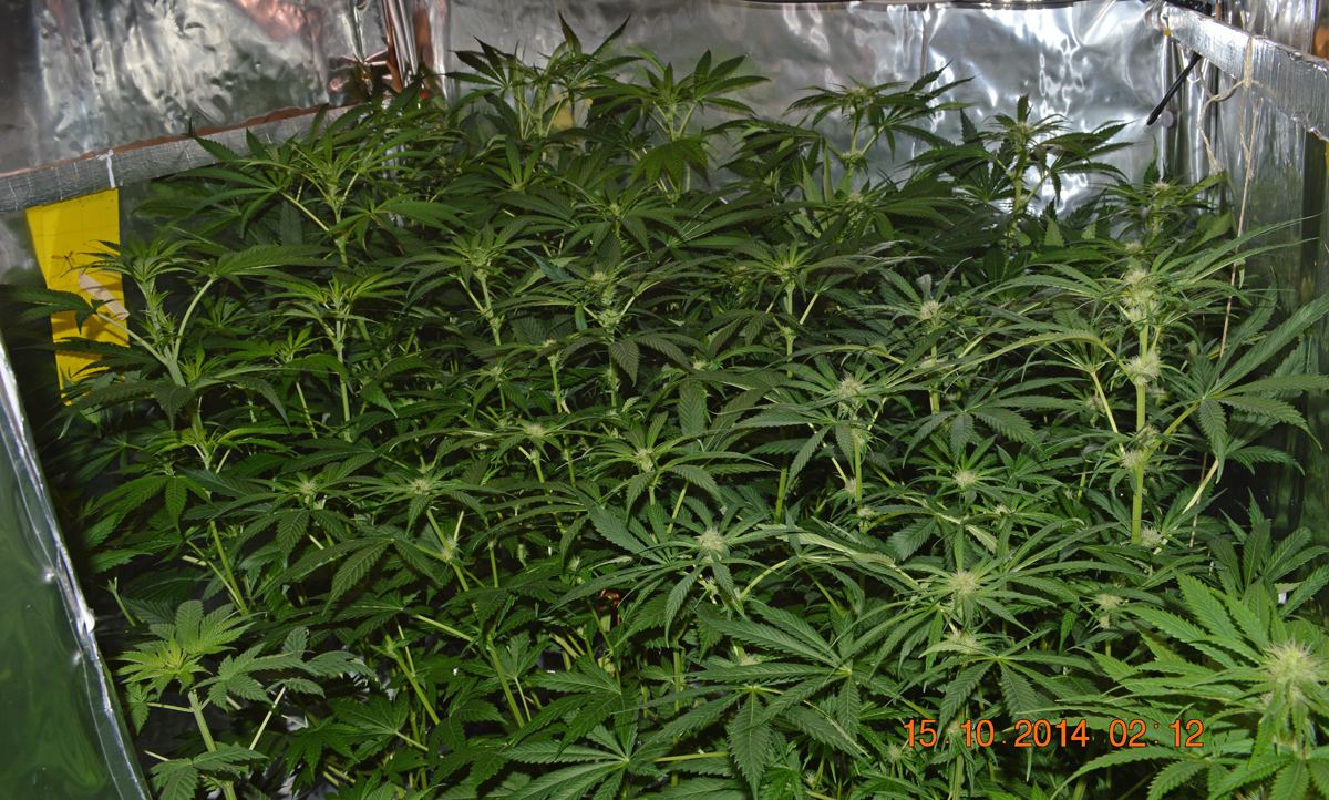 Groupshot