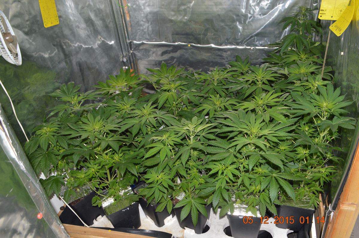 Groupshot