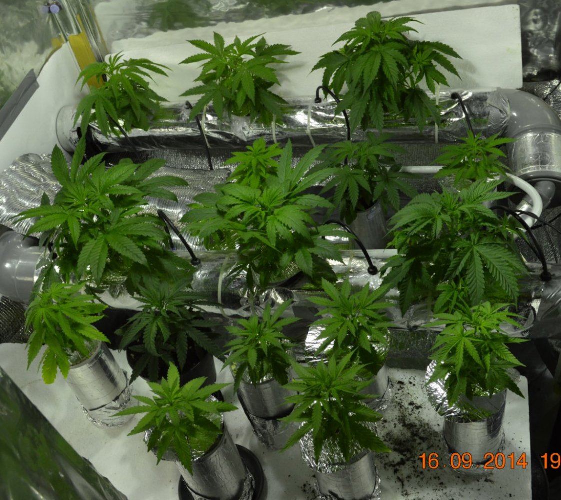 Groupshot1