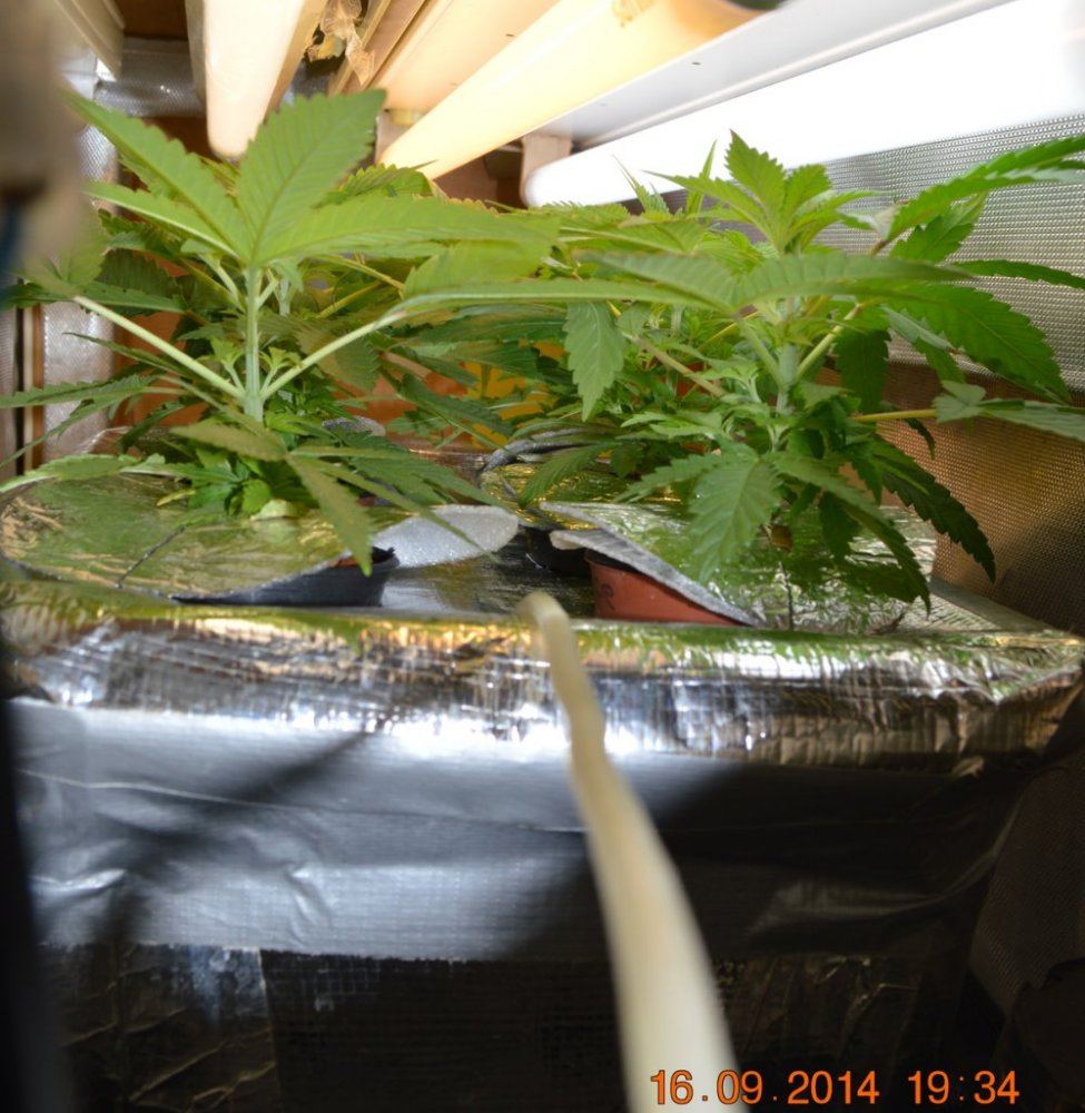 Groupshot2