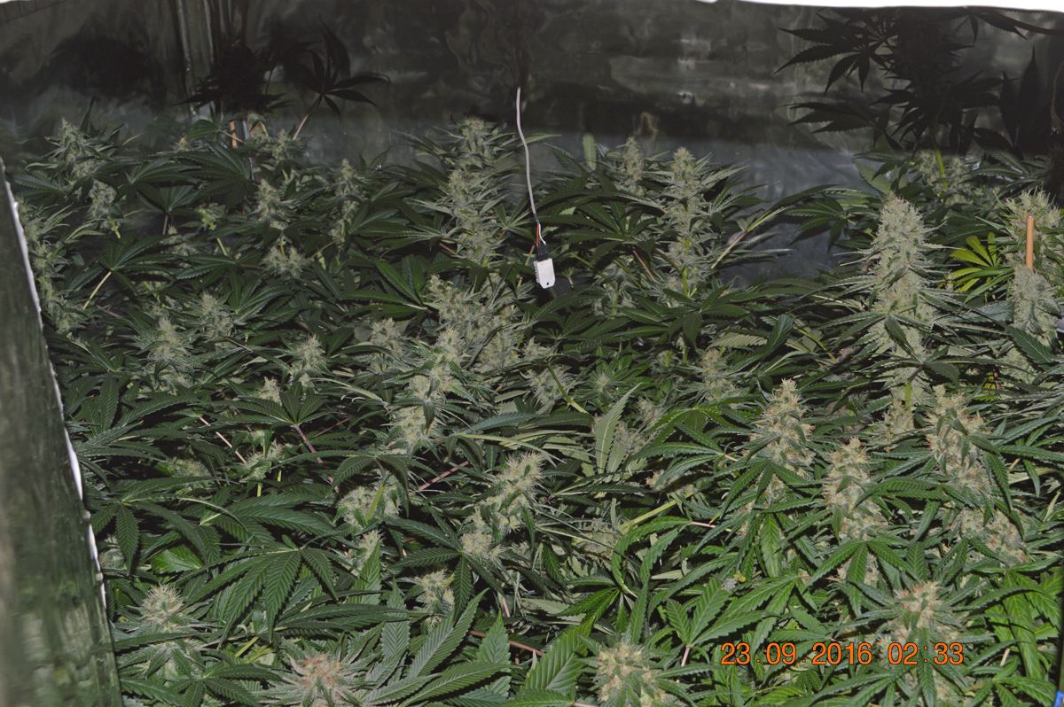 Groupshot2