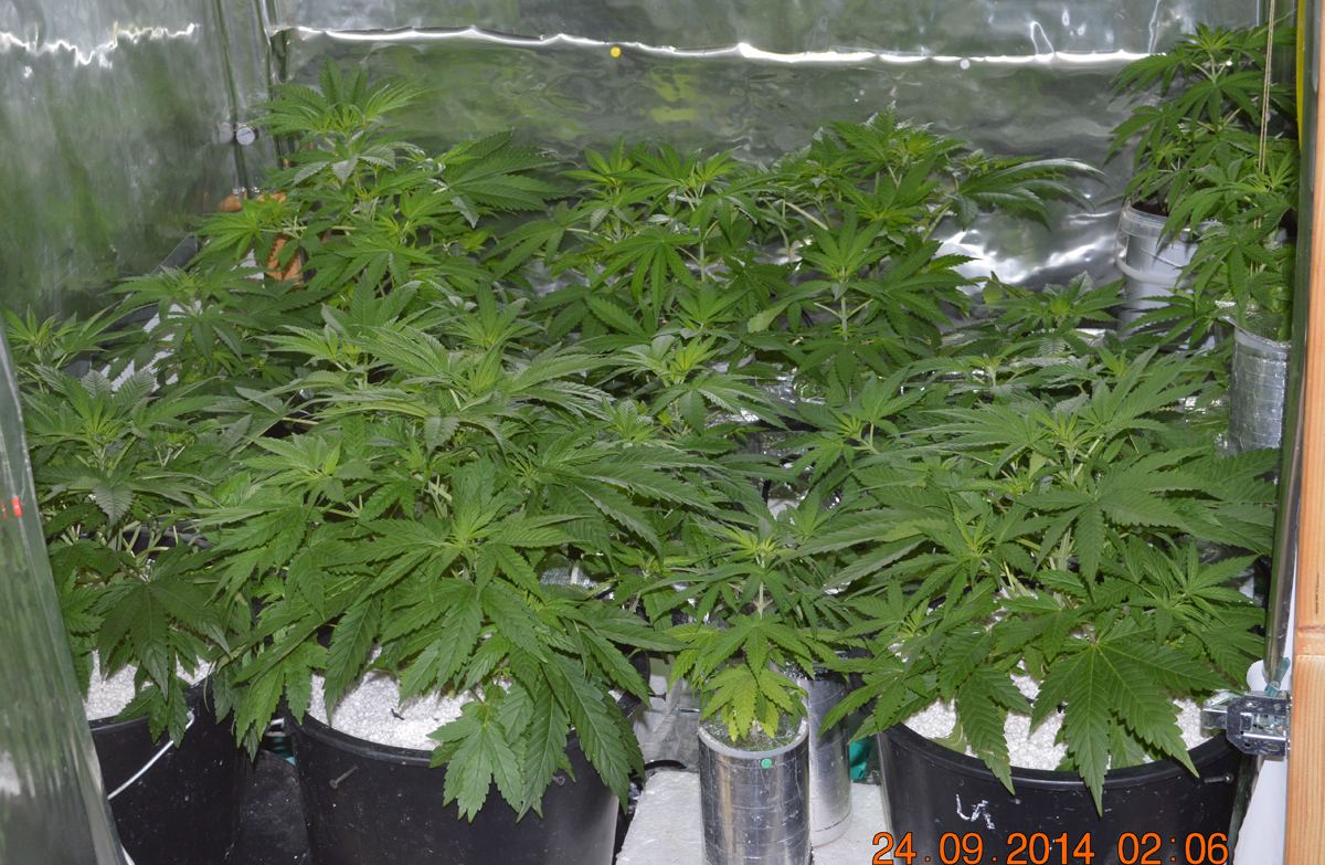Groupshot4