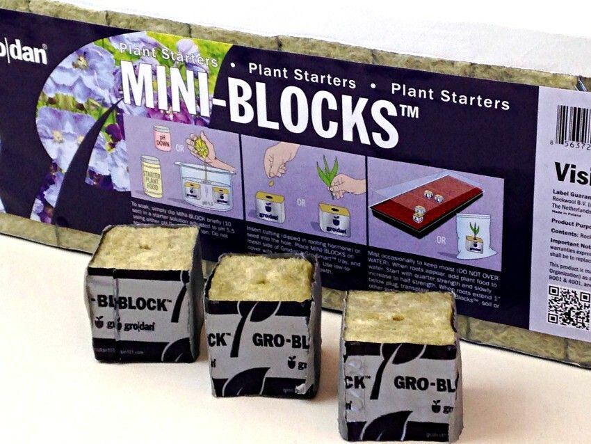 Grow Blocks.jpg