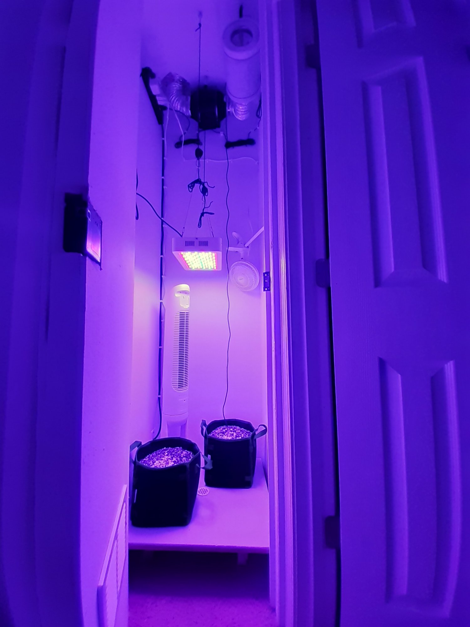 Grow journal first grow will update weekly