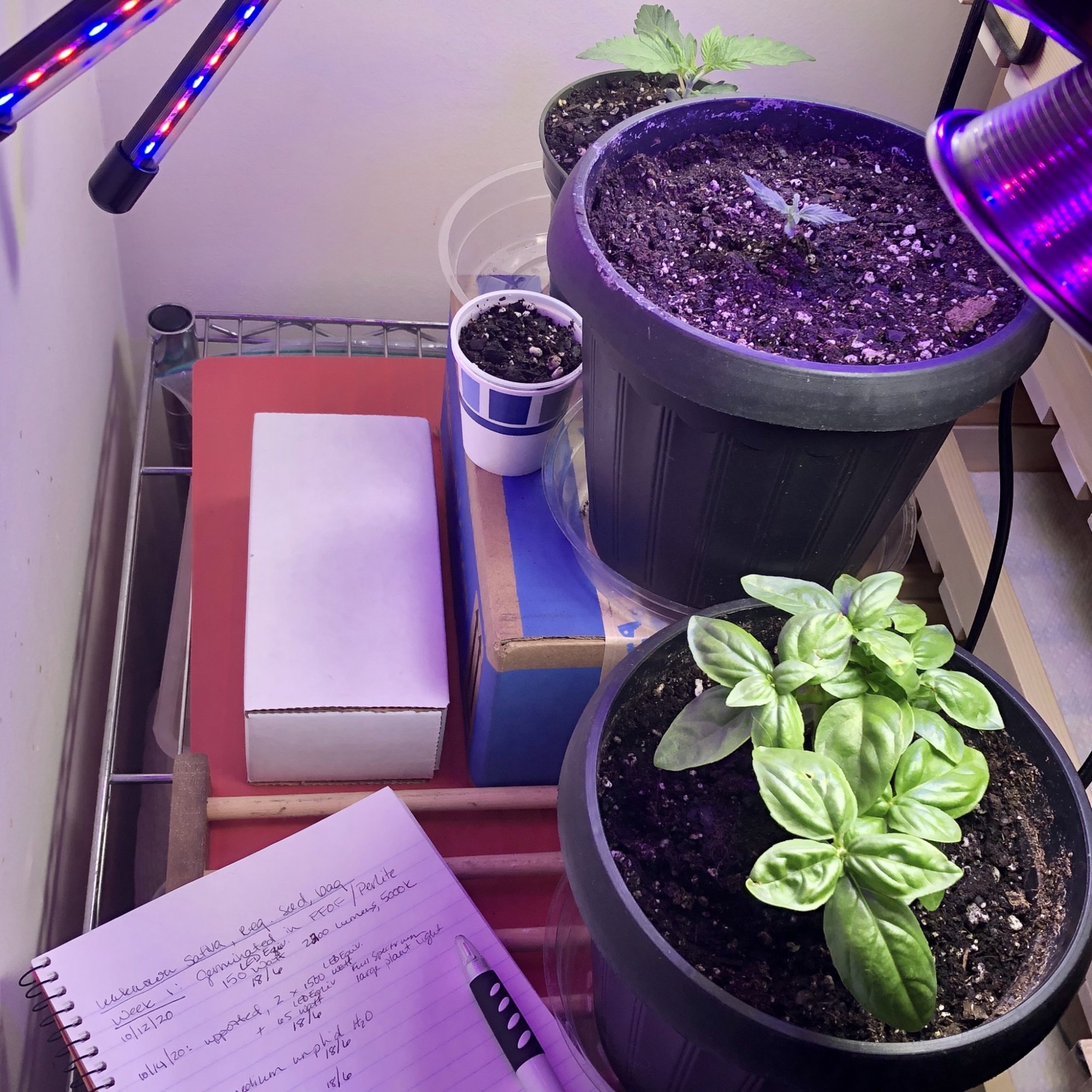 Grow number two making space 4