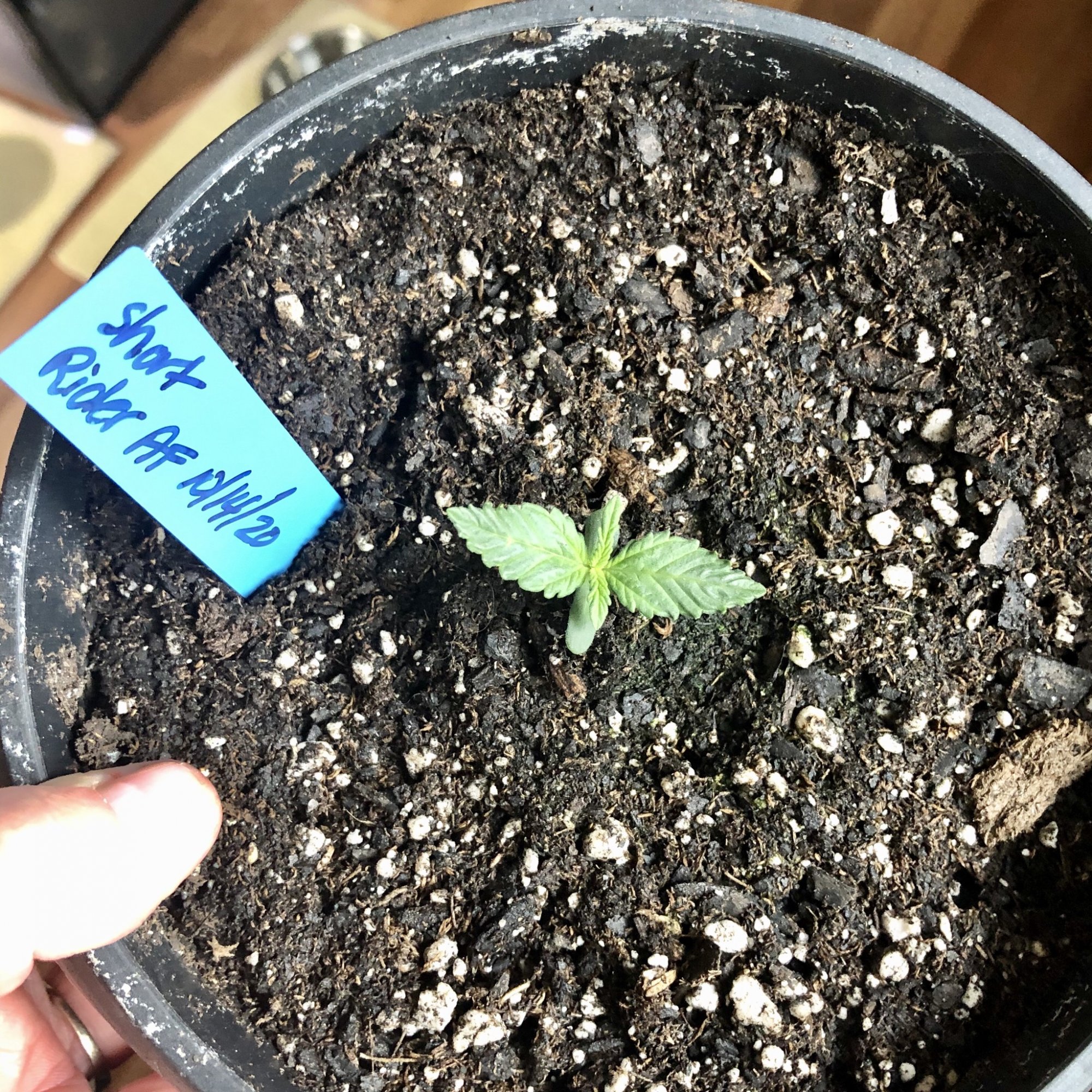 Grow number two making space 5