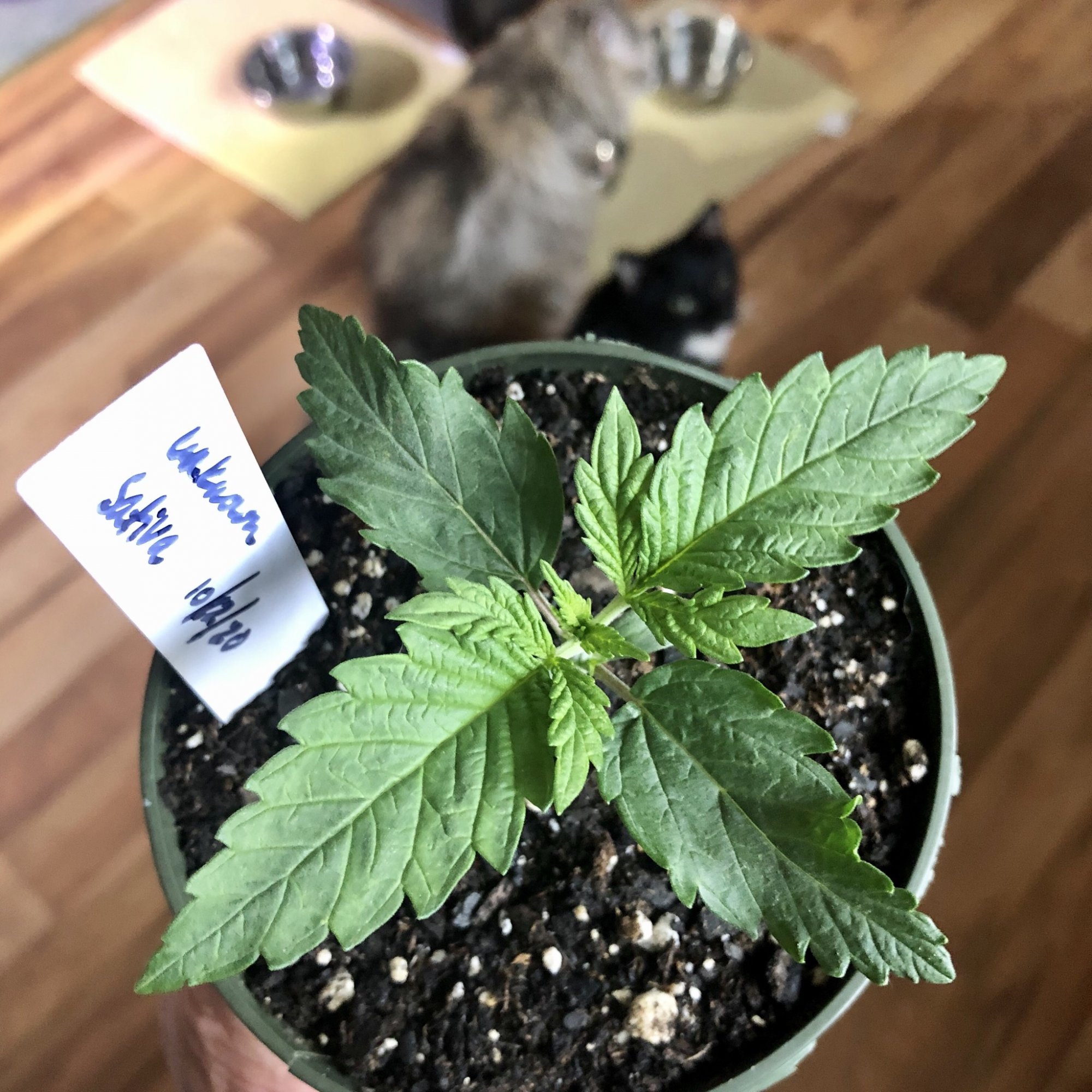 Grow number two making space 6