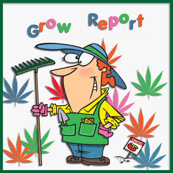 Grow Report