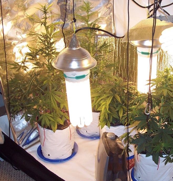 Grow2