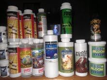 Growexpo2
