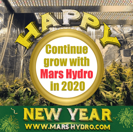 Growing with Mars 2020