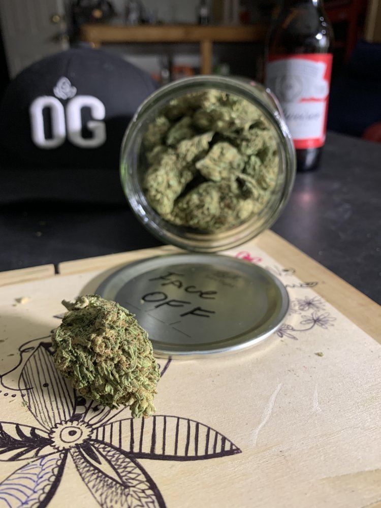 GrowingGreenDeadheadOGxFaceOffOGxHyperGlue111919