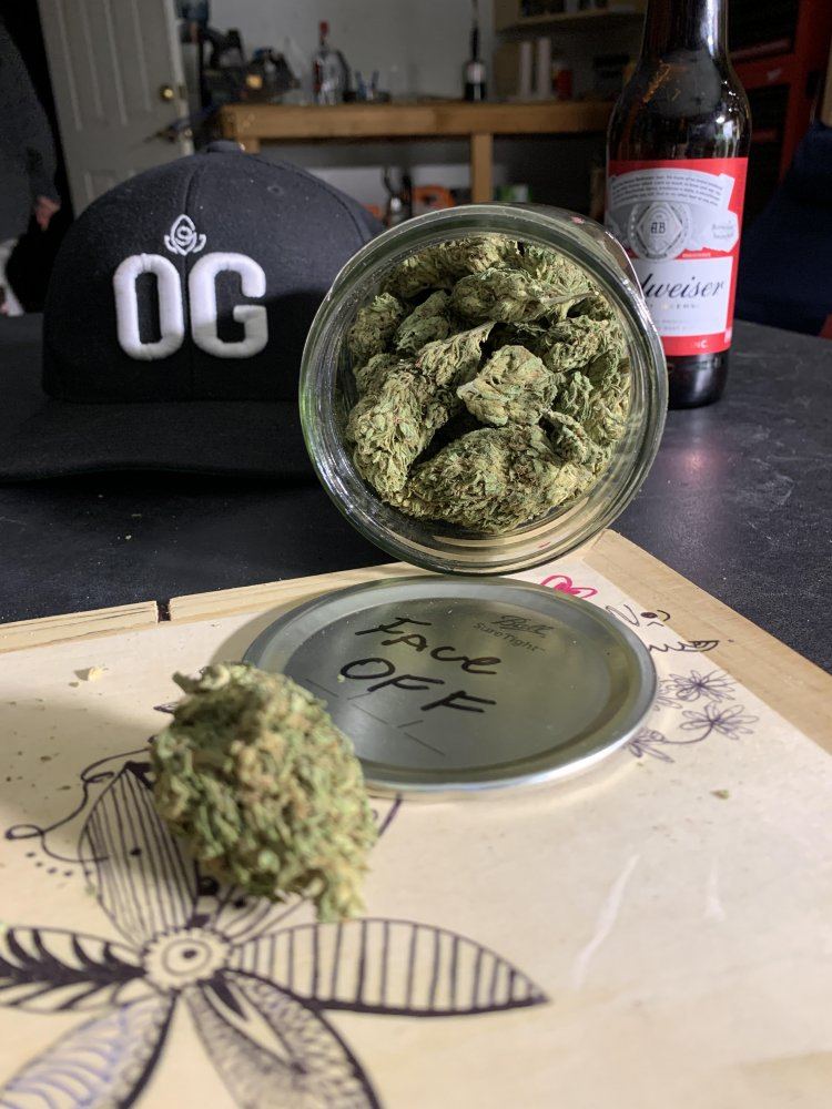 GrowingGreenDeadheadOGxFaceOffOGxHyperGlue211919