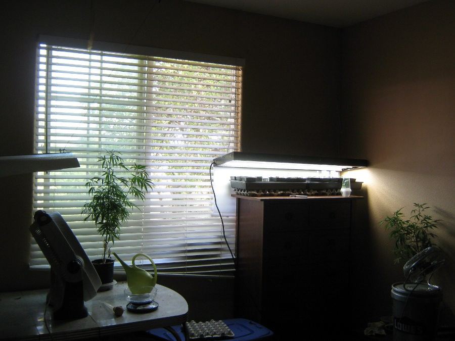 Growroom