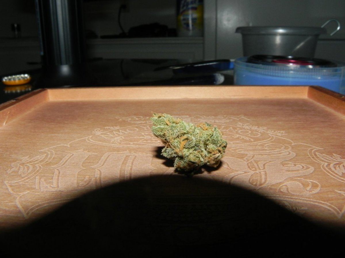 GSC 01