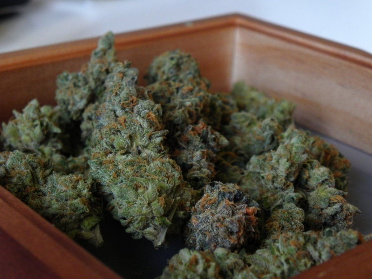 GSC 02