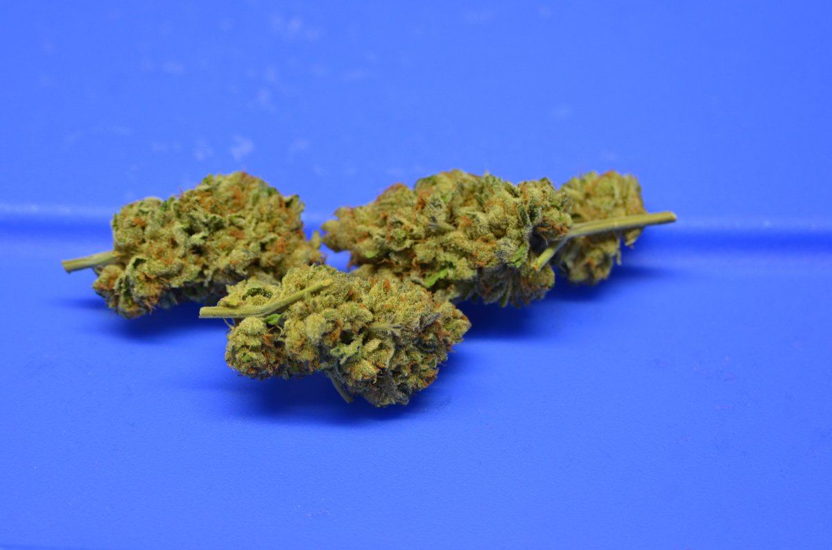 GSC 2