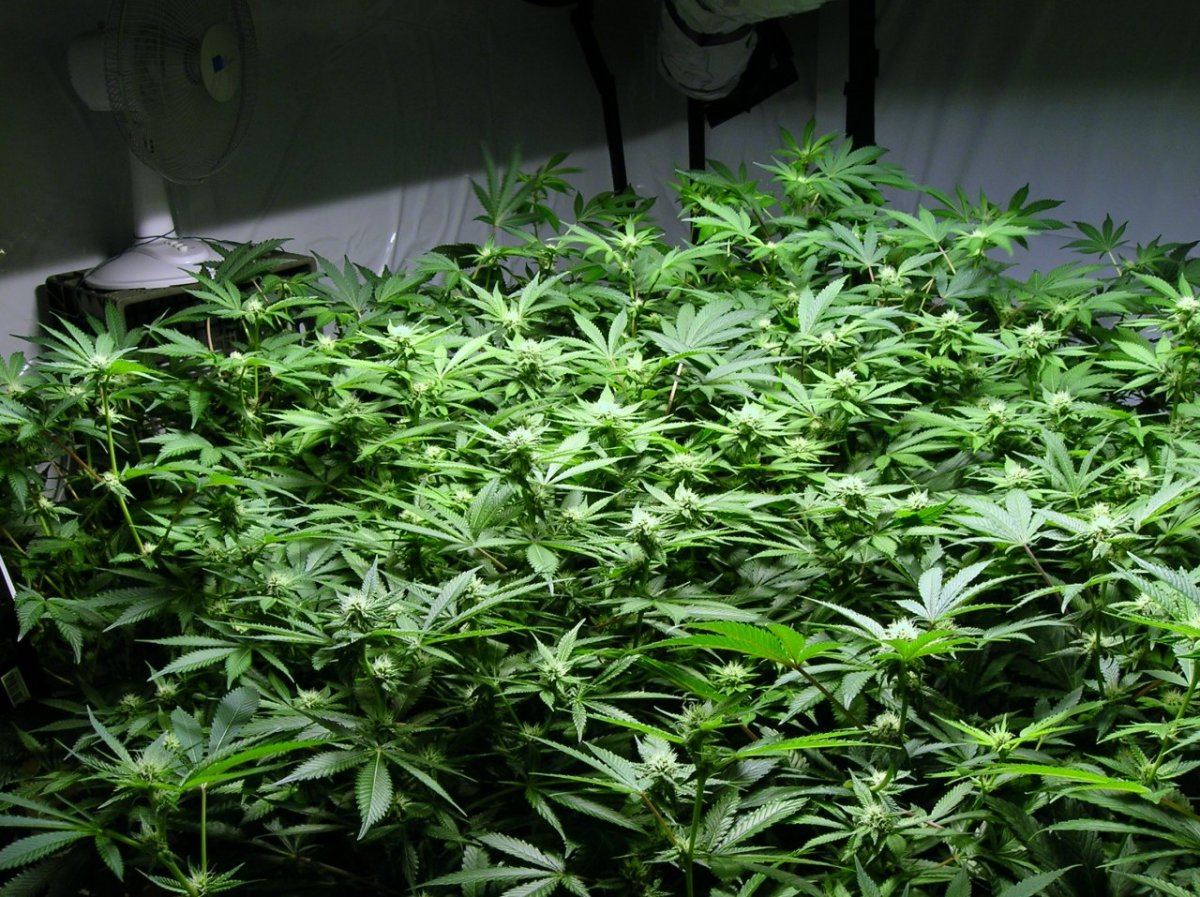 GSC day 21 004
