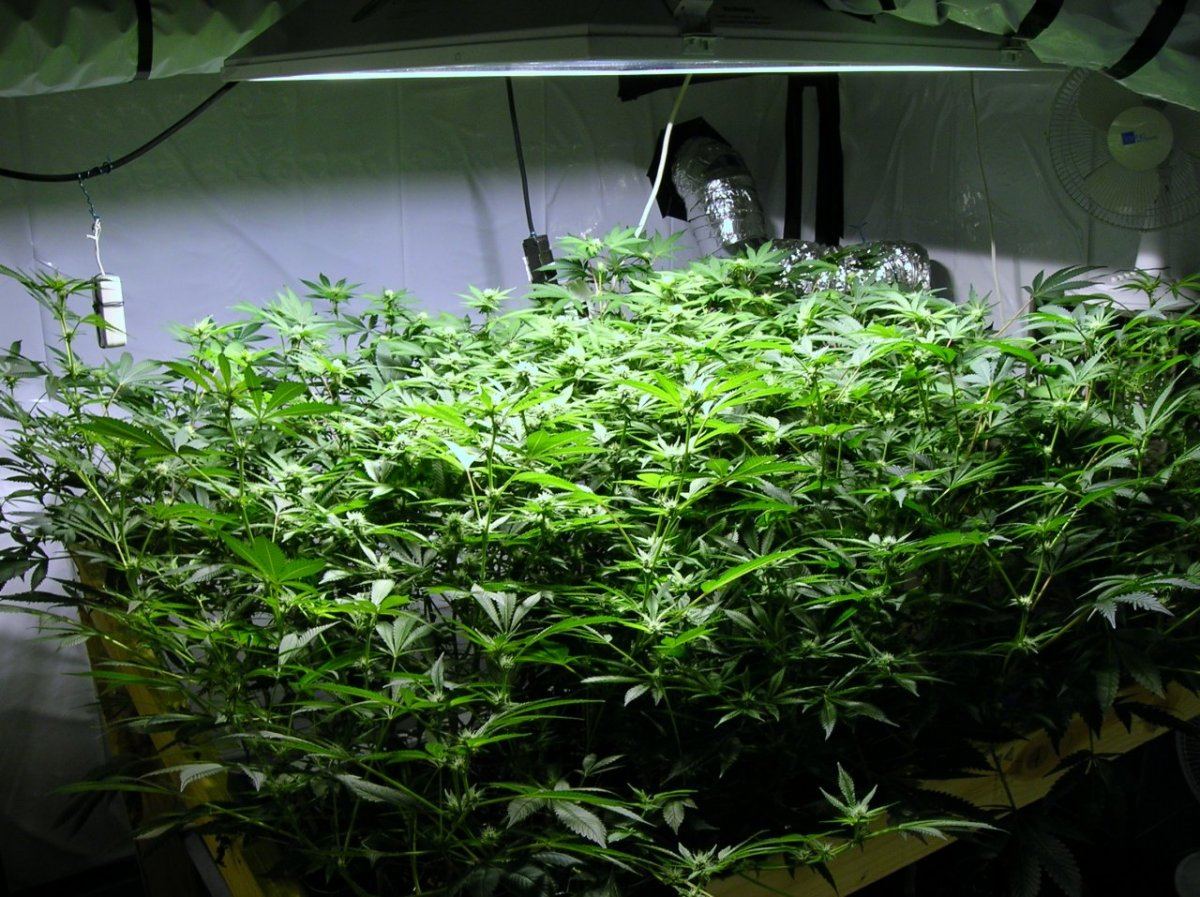 GSC day 21 005