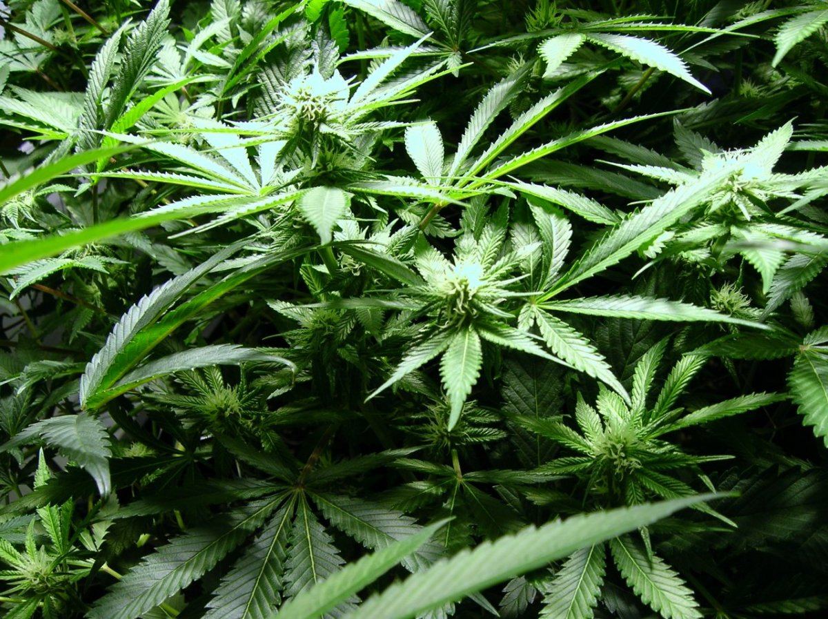 GSC day 21 020