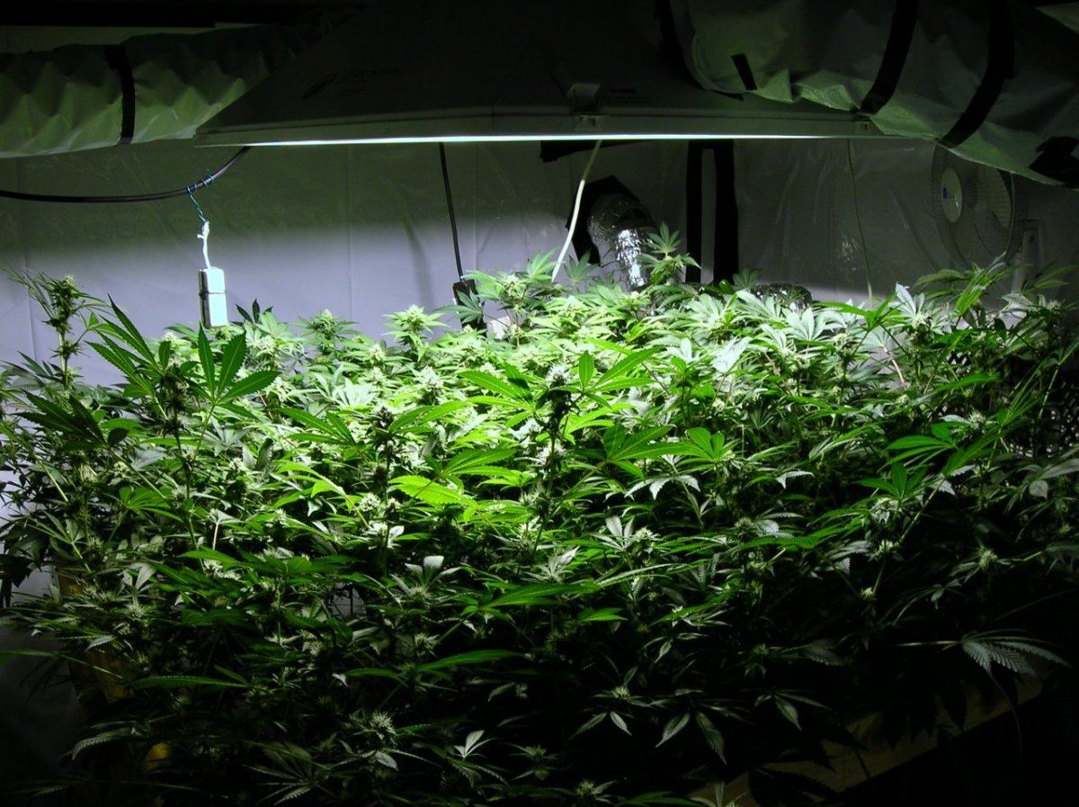 GSC day 28 001
