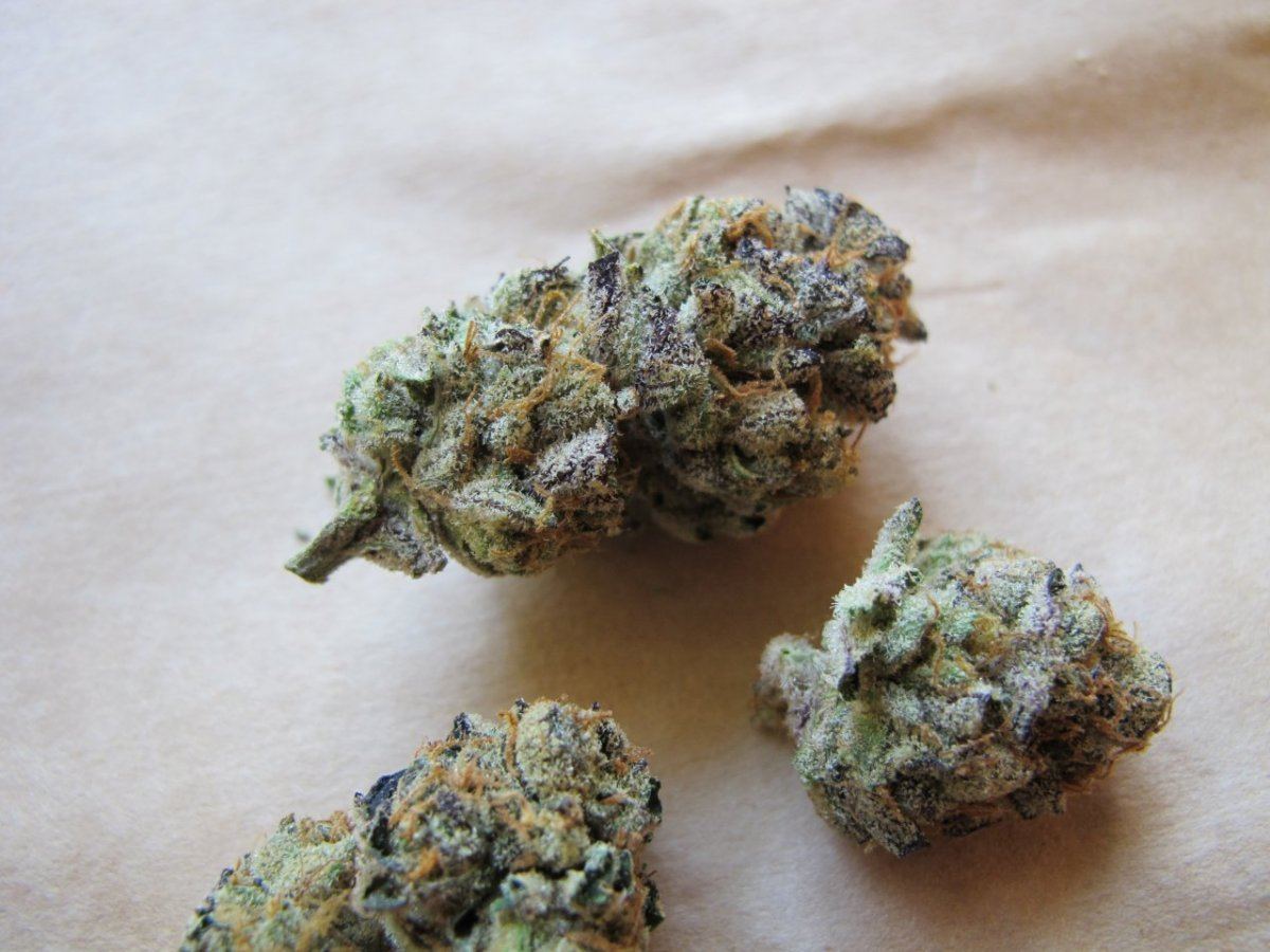 Gsc