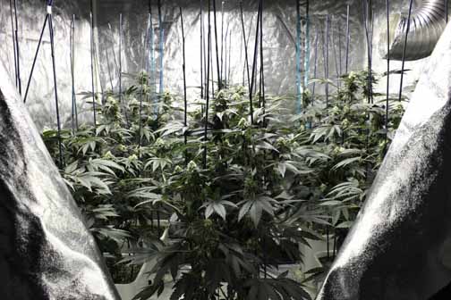 Gsc3