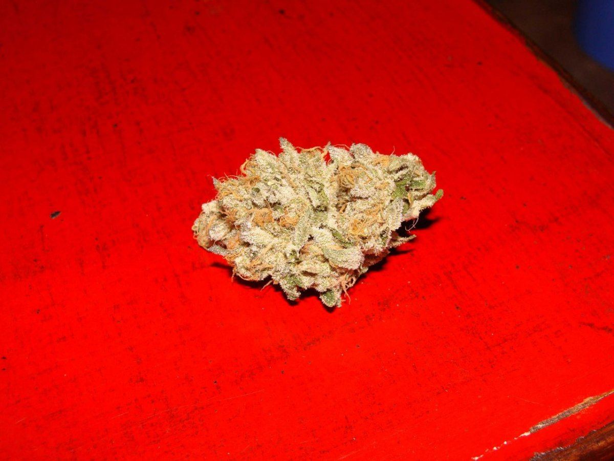Gsc66dry
