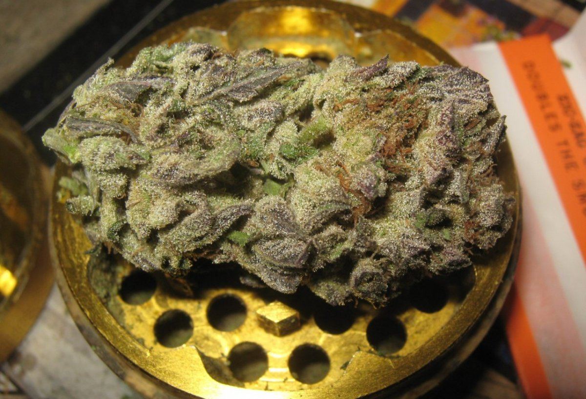 GSCnug55