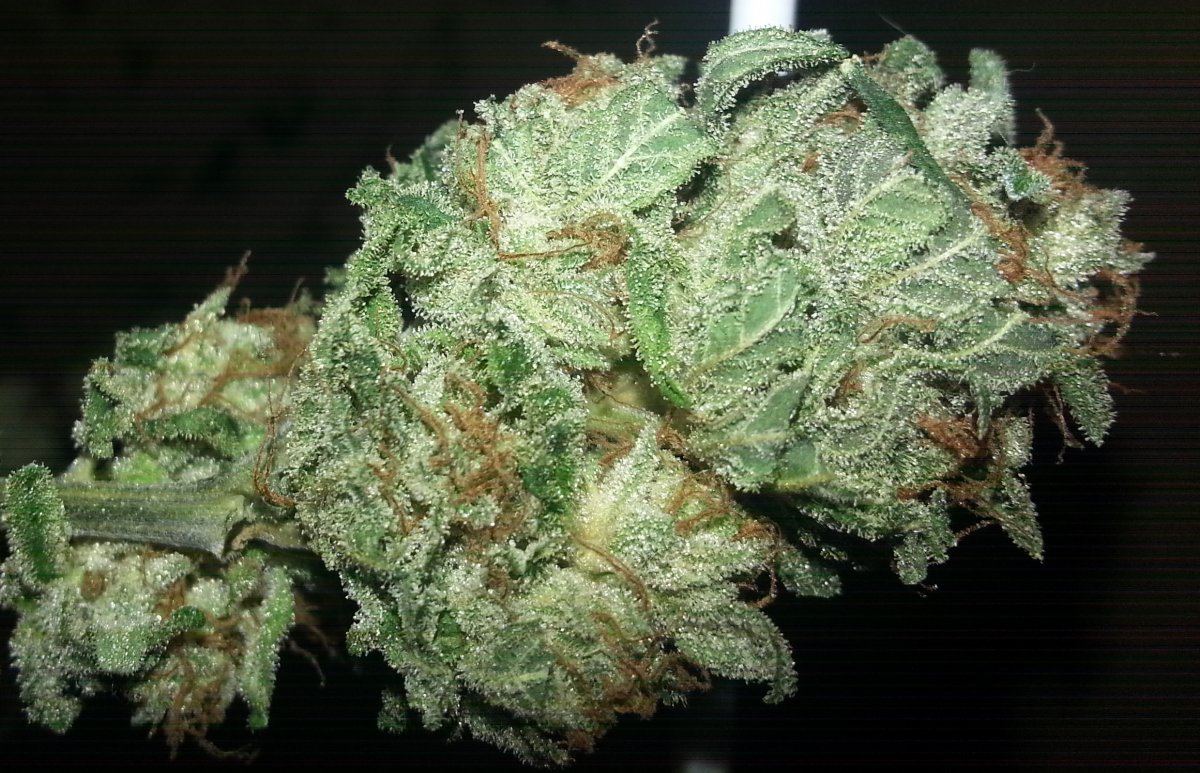 Gth