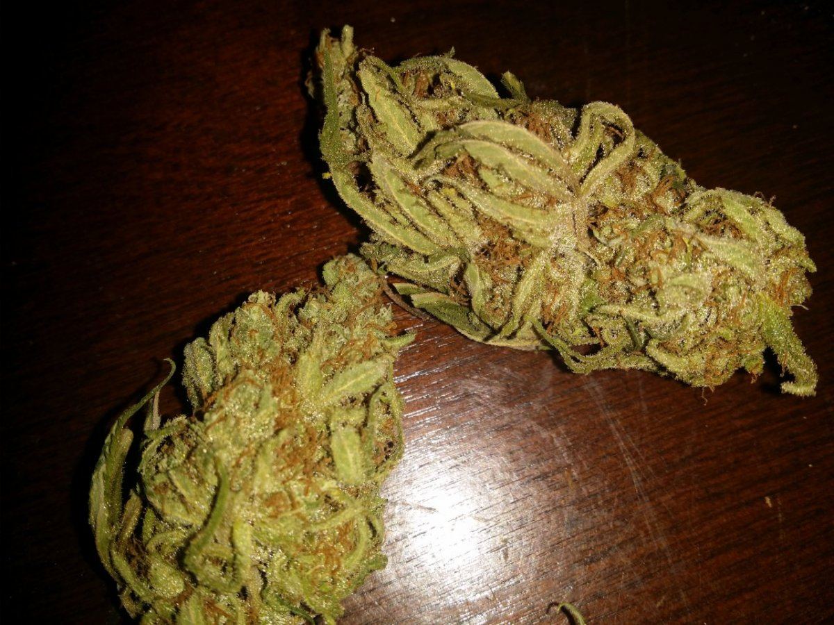 Guess that strain 4