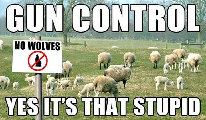 Gun control sheep with no wolves sign