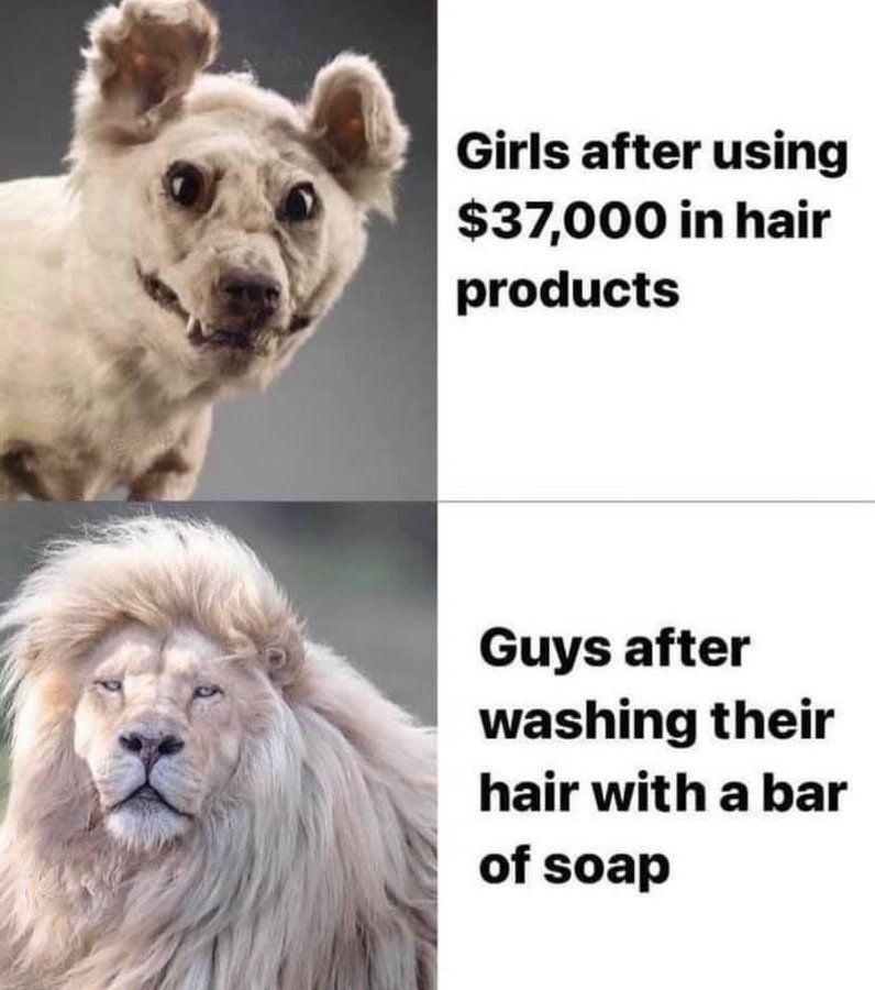 GZXUx9LXIAAJ0vD