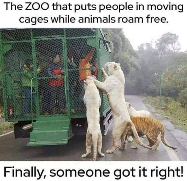 GZXWSDwXMAAj bo
