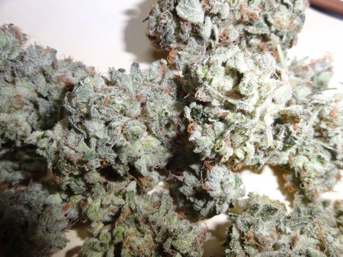 Halucination blue power 023