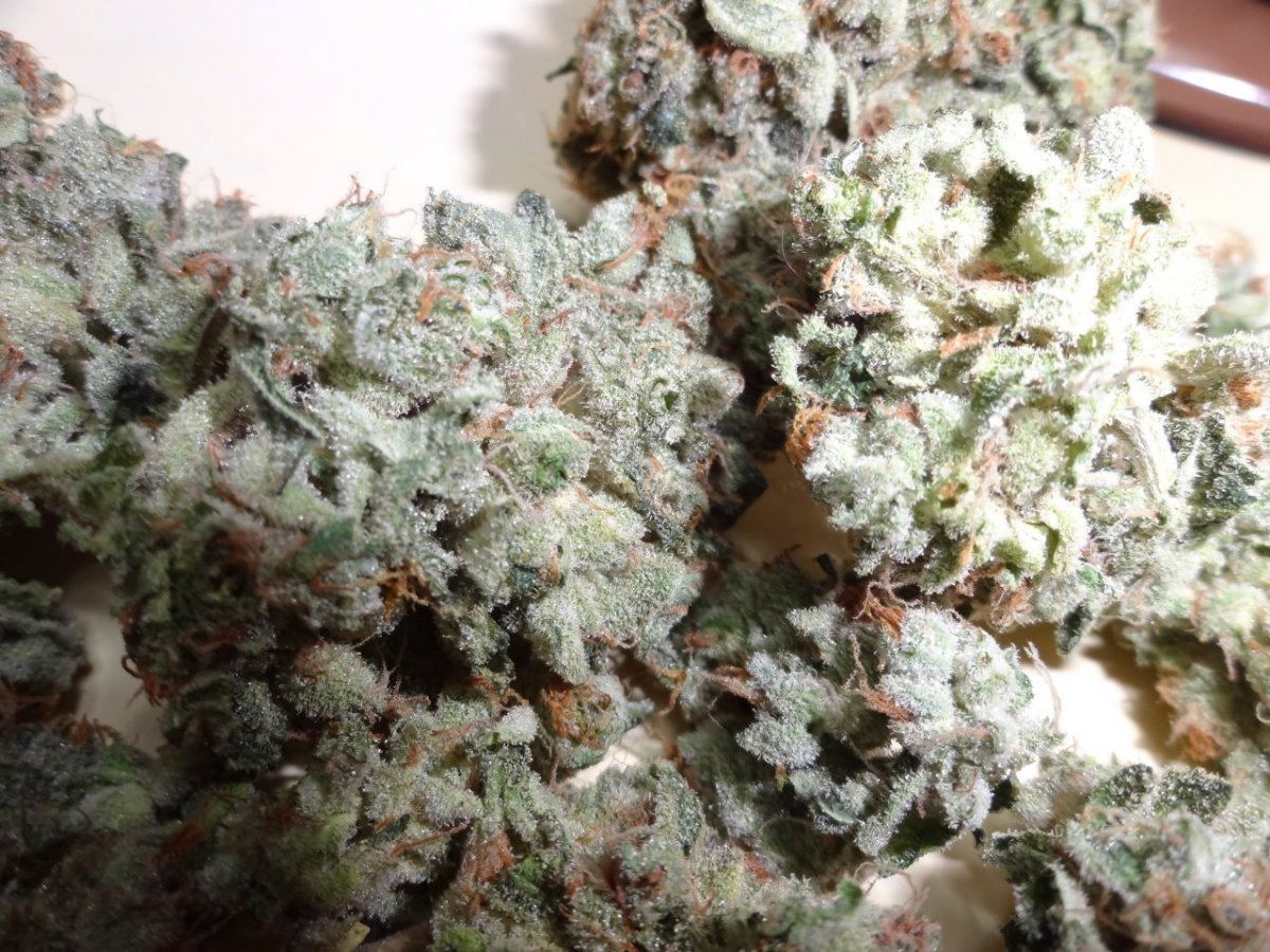 Halucination blue power 027