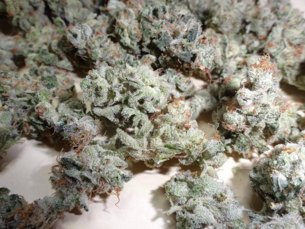 Halucination blue power 028
