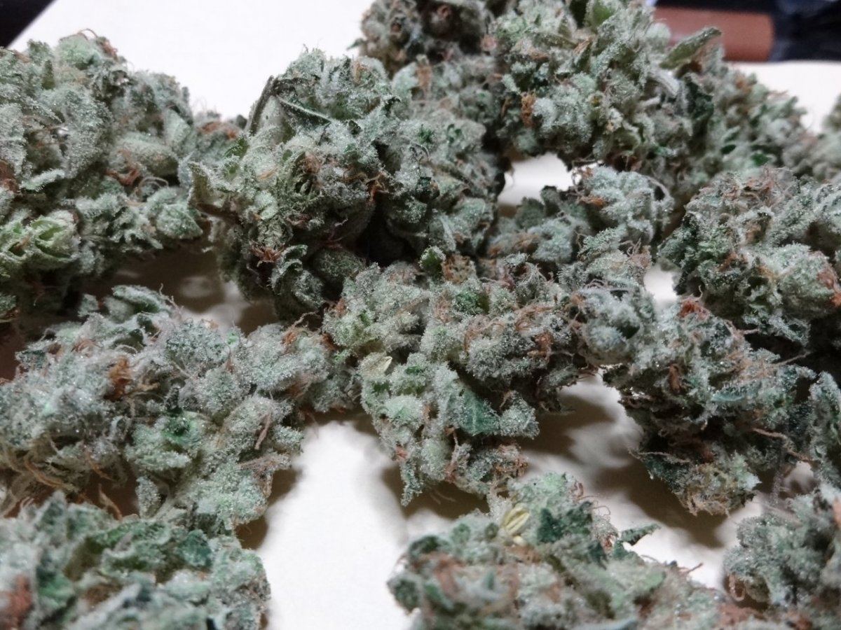 Halucination blue power 030