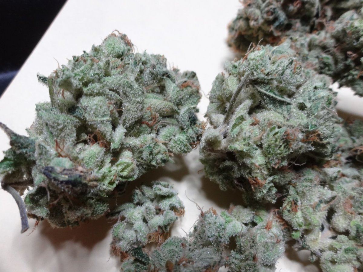 Halucination blue power 032