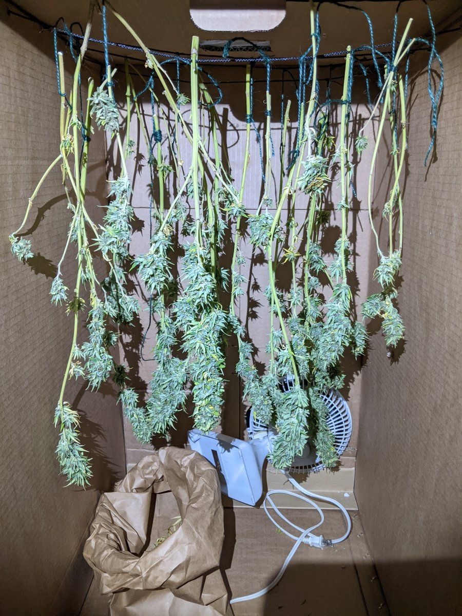 Hangdrying