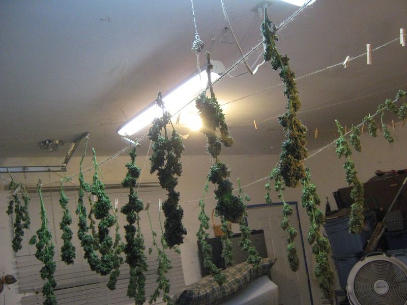 Hanging