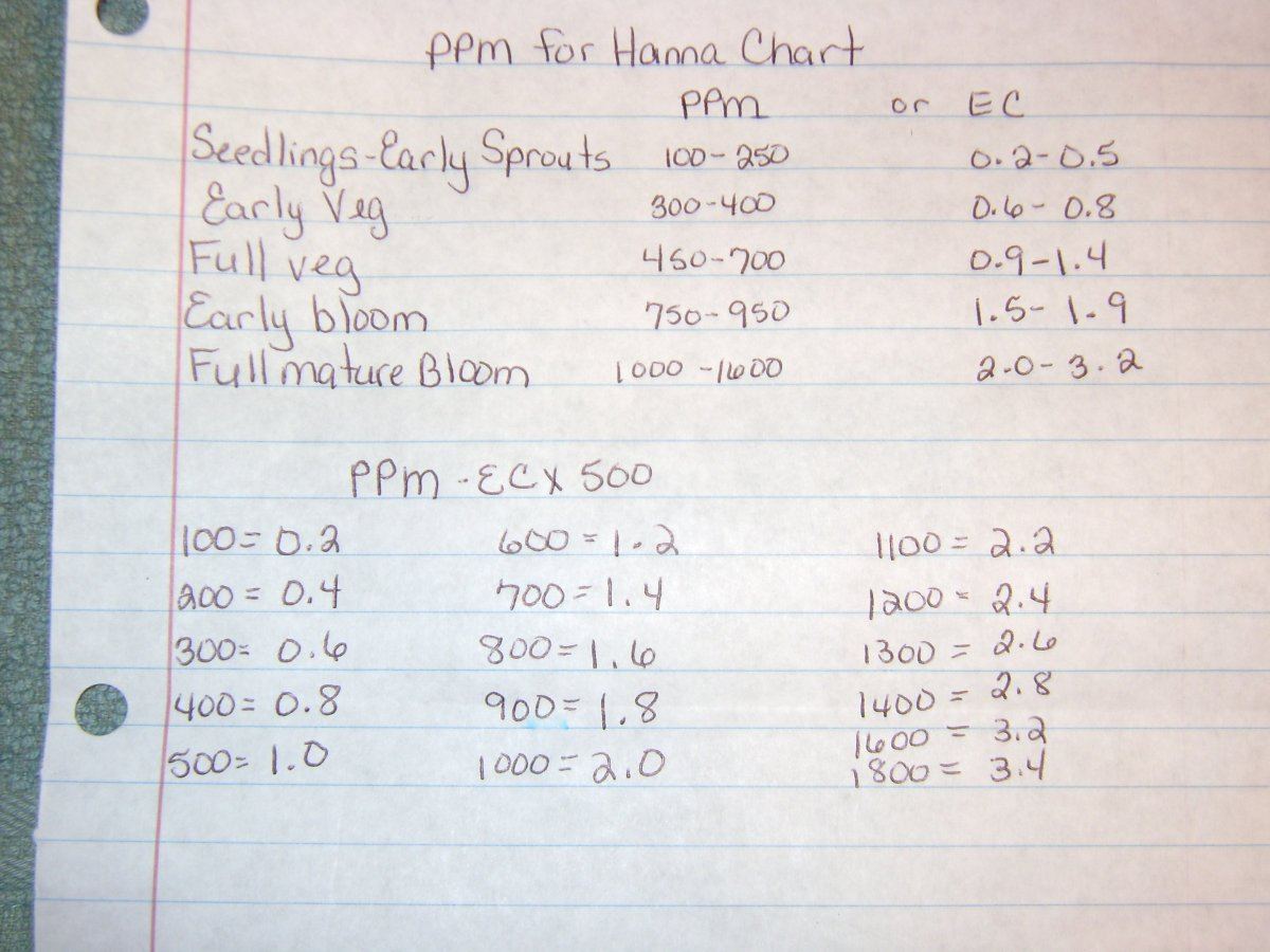 Hannah feed schedule 001