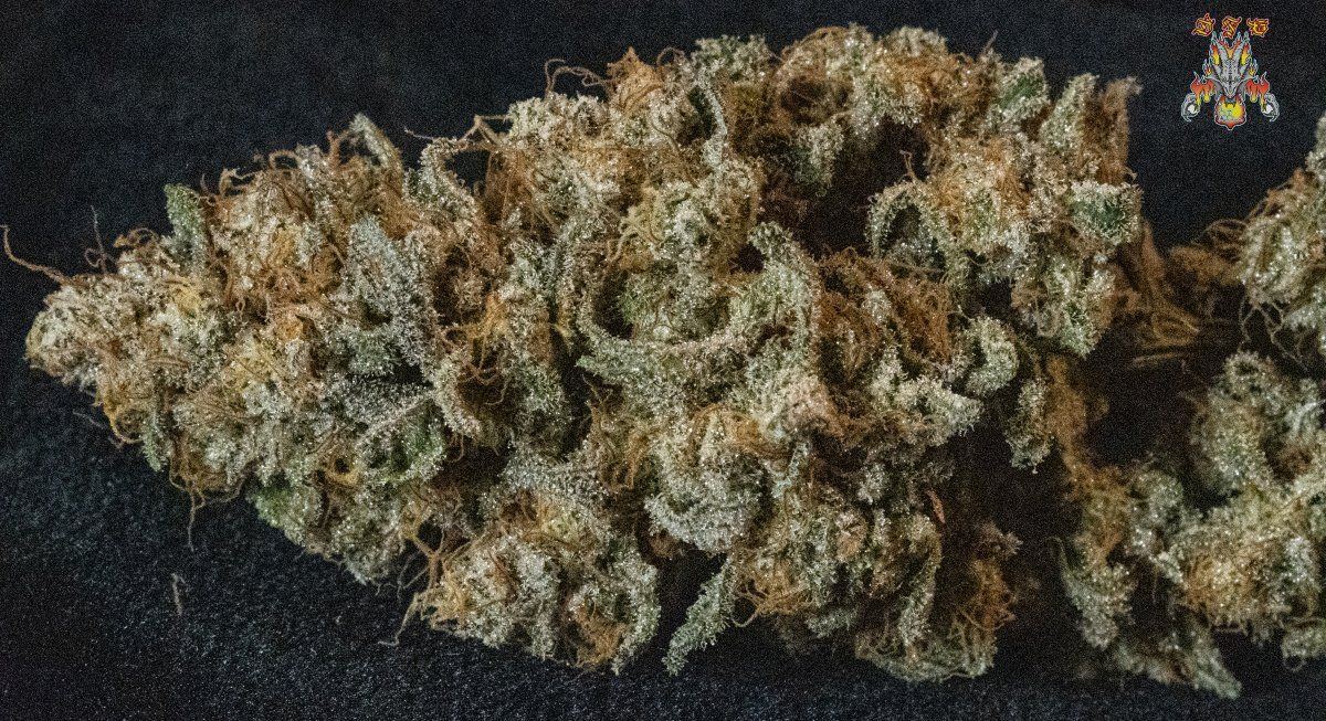 Haole moonshine 16 1