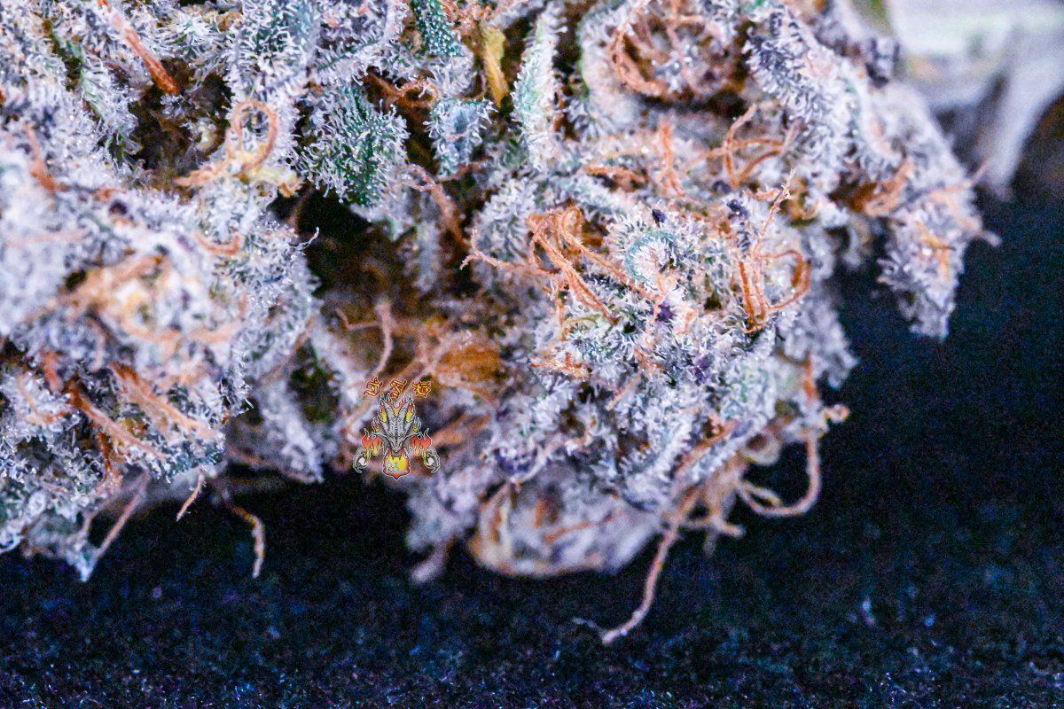 Haole moonshine 3 3 2