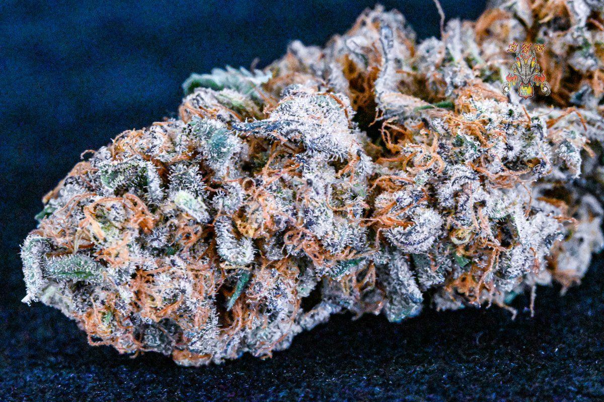 Haole moonshine 3 9