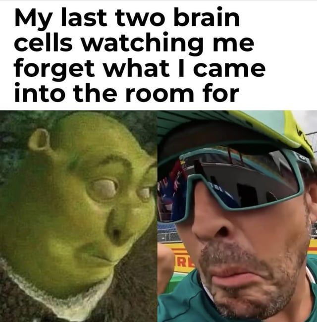 Happens every single day v0 eg7xou1vo4hf1
