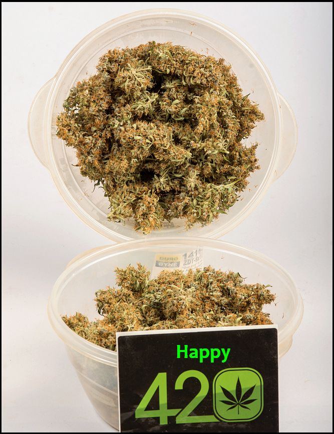 Happy 420