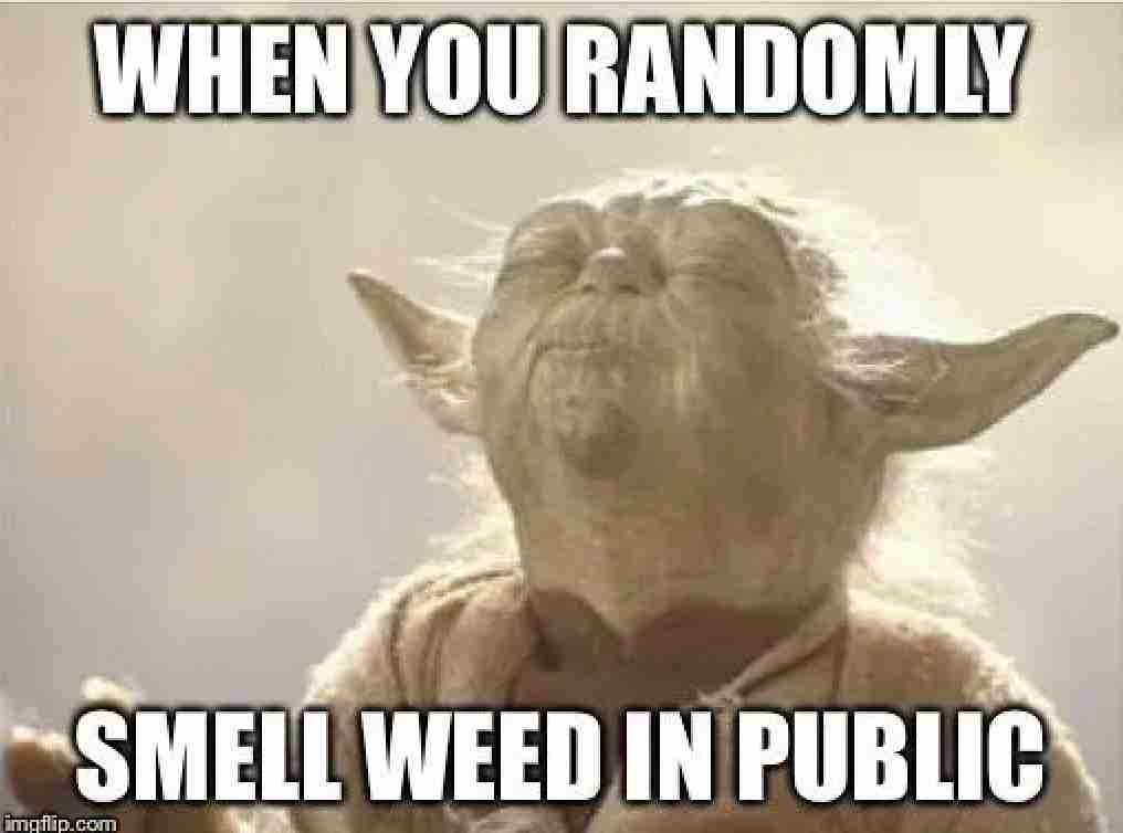 Happy 420 Memes 5