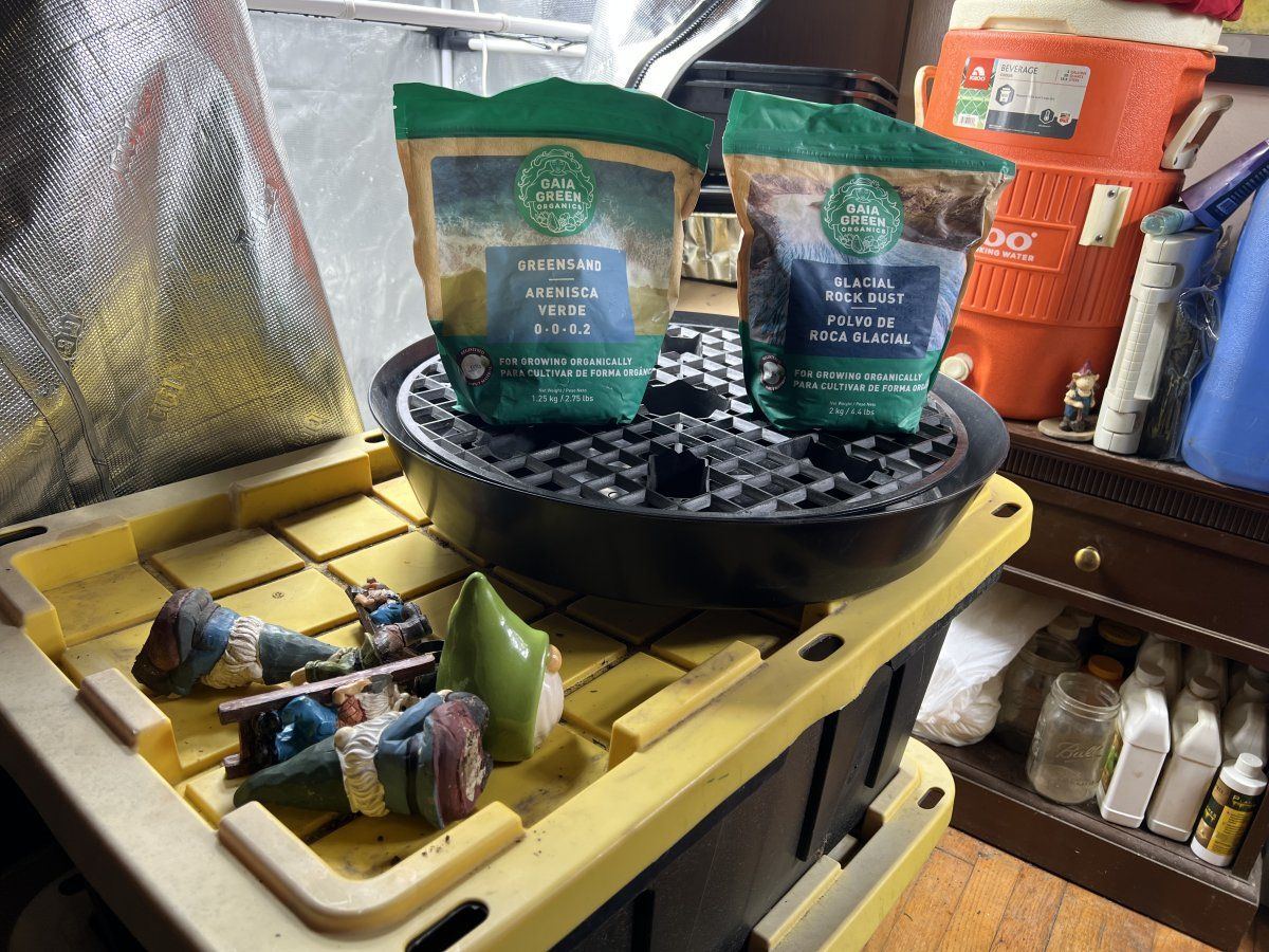 Haps at the grow shack 4